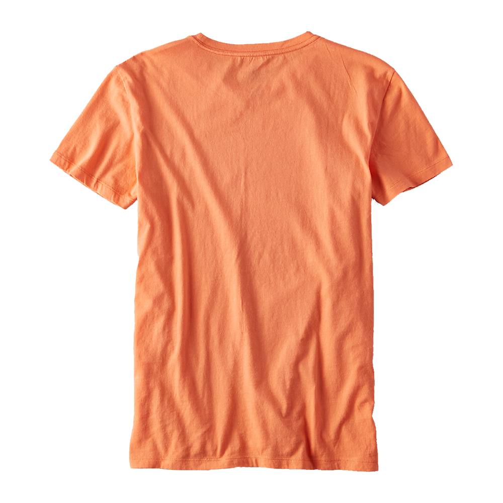 Plain Simple t-shirt