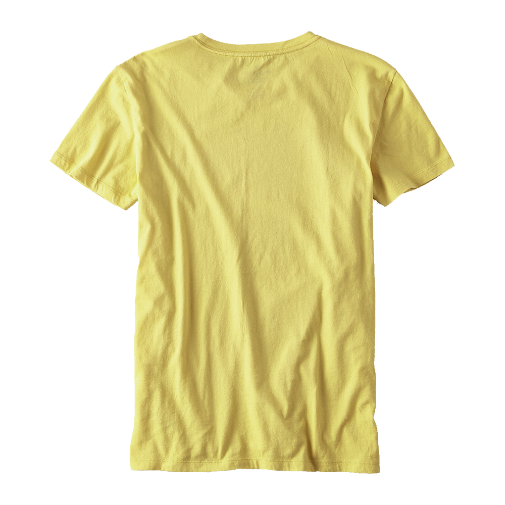 Plain Simple t-shirt